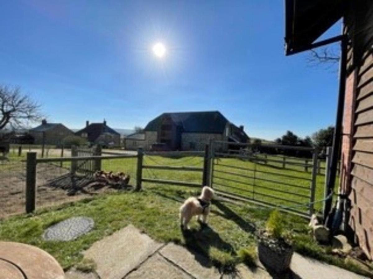 Poachers Hut - Captivating 1-Bed Cottage Shorwell 외부 사진